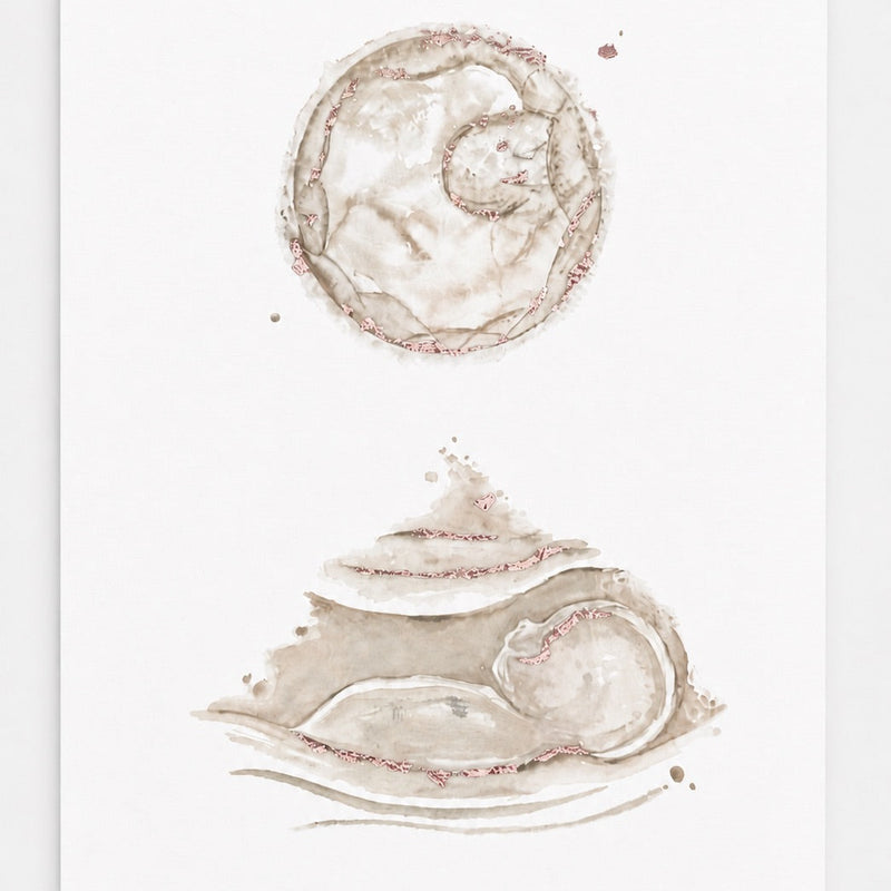 Watercolour painting of an embryo and ultrasound scan on a white background