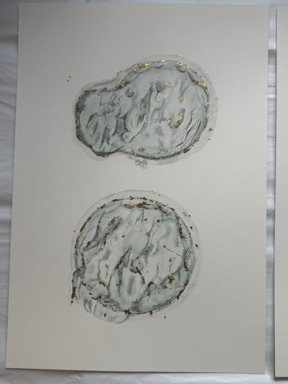Watercolour Embryo