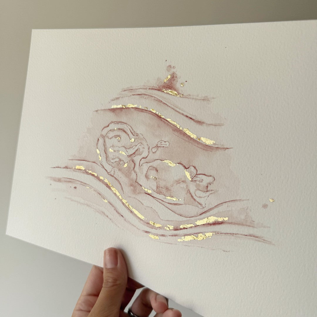 Double  Watercolour Ultrasound Scan