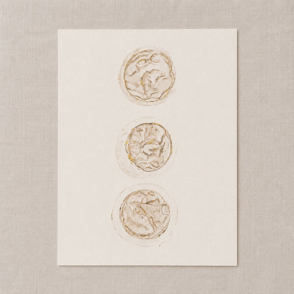 Watercolour painting of 3 embryos on a white card against a beige background