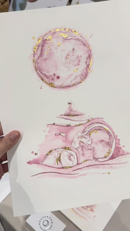 Embryo + Ultrasound Scan